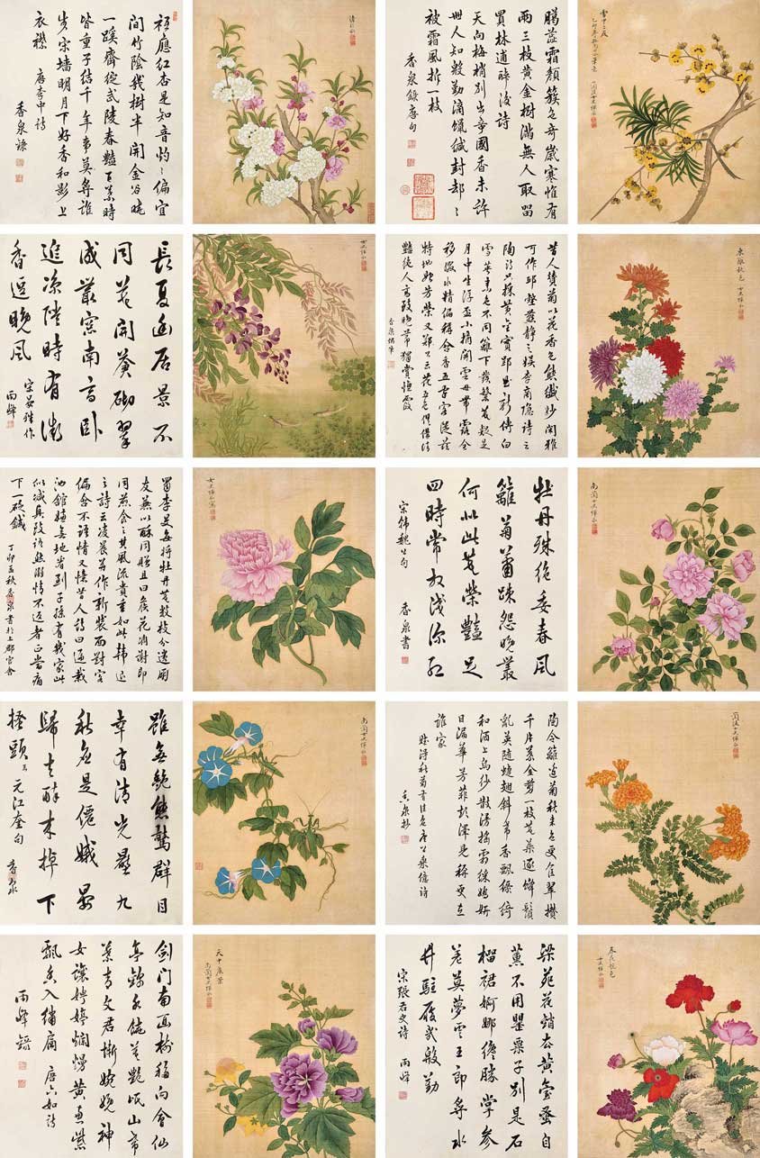 惲冰(清) 花卉冊