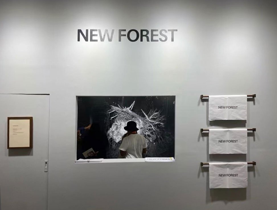 「New Forest」現地裝置藝術作品